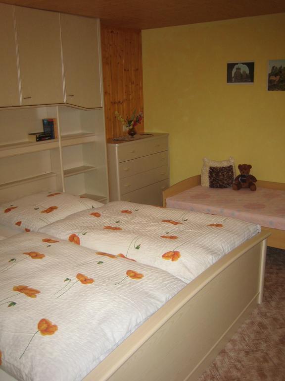 Apartment Schlafwandler Steinigtwolmsdorf Chambre photo